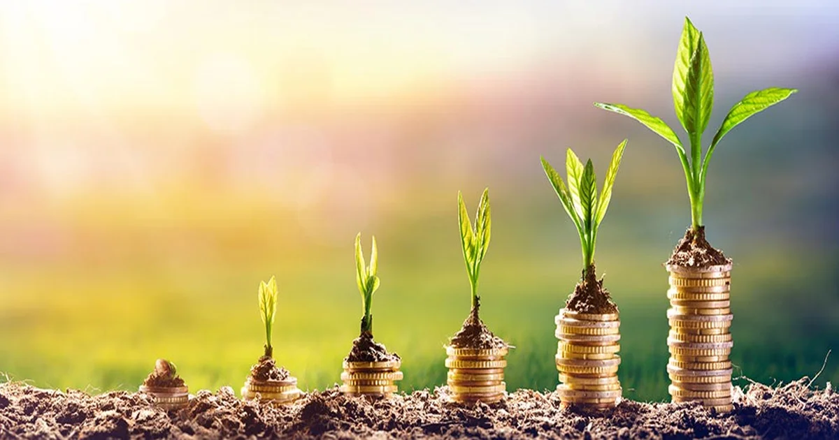 seed-funding-coins-seedlings