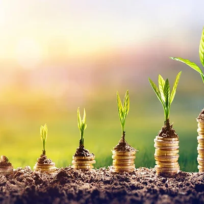 seed-funding-coins-seedlings