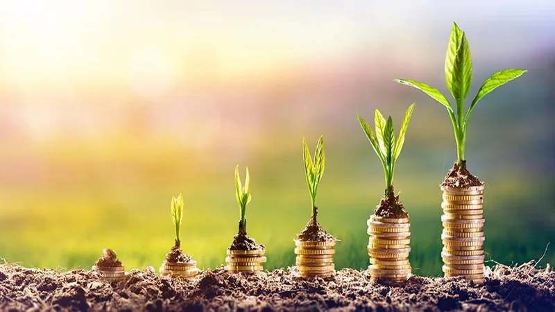 seed-funding-coins-seedlings