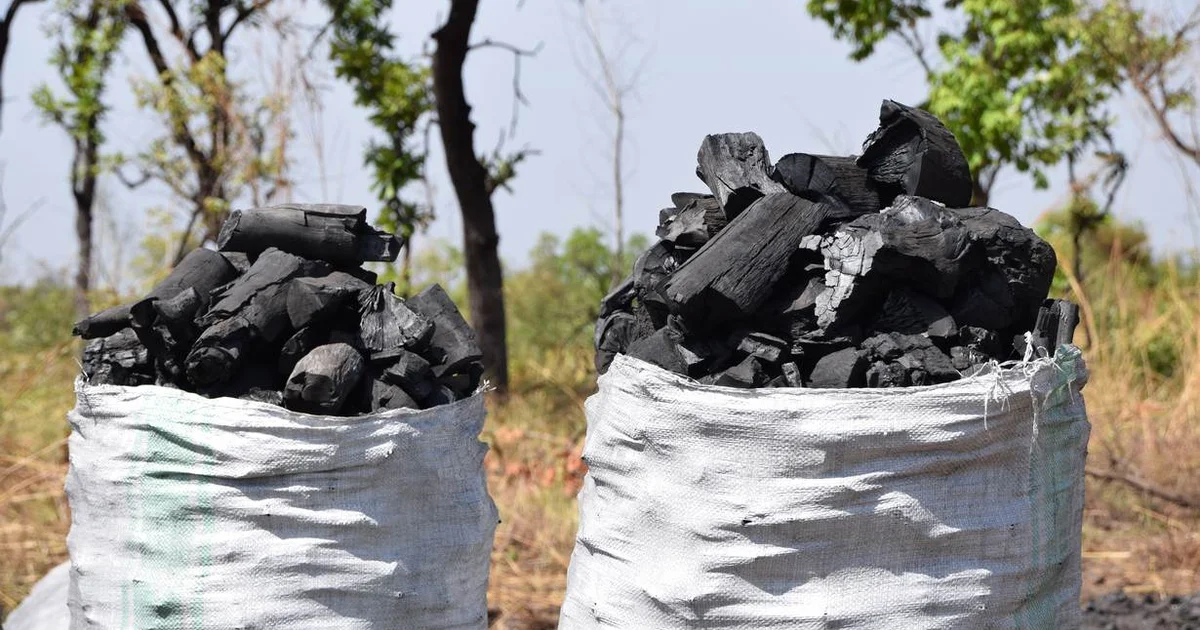 bags-of-charcoal-in-uganda