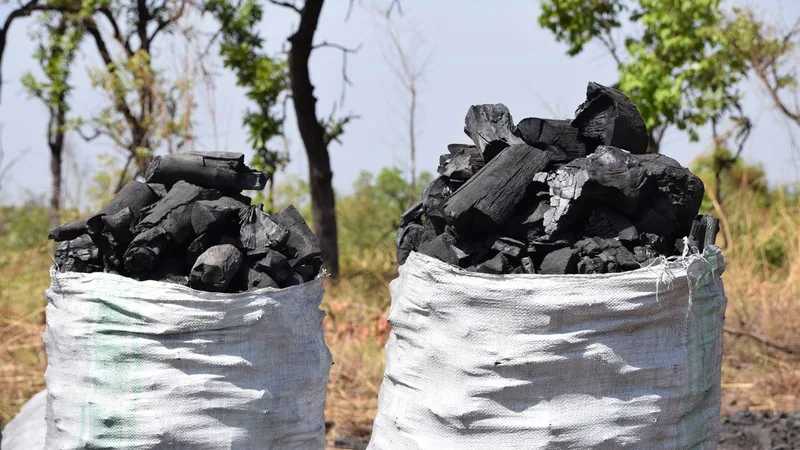 The Wind of Gashumba, the Pastors, and the Charcoal Storm