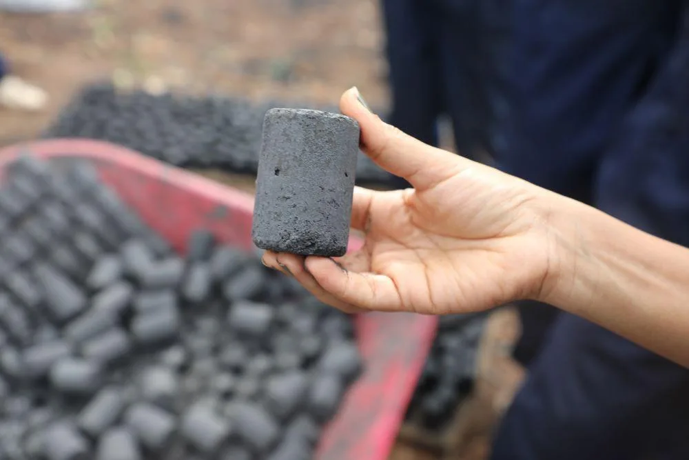 charcoal-briquettes