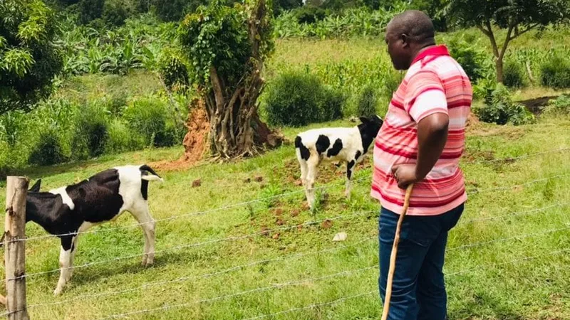 joseph-mbazzi-muguluma-tending-to-his-calfs.jpeg