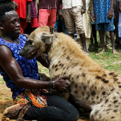 man-playing-with-hyena